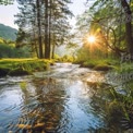 Tranquil Forest Stream at Sunrise: Nature's Serenity and Reflection