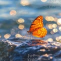 Glowing Butterfly on Rock with Sparkling Water Background