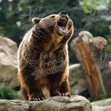 Majestic Grizzly Bear Roaring in Nature: Wildlife Photography