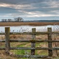 Tranquil Marshland Landscape with Rustic Wooden Fence and Dramatic Sky