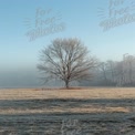 Serene Frosty Landscape with Lone Tree at Dawn