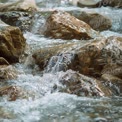 Tranquil Stream Flowing Over Rocky Riverbed