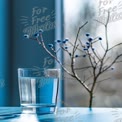 Refreshing Glass of Water with Blue Accents and Natural Elements