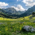 Malersiche Berglandschaft mit Wildblumen und blauem Himmel