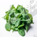 Fresh Spinach Leaves Pile - Healthy Eating, Nutrition, Organic Food, Superfood