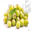 Fresh Green Gooseberries with Leaf on White Background