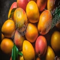 Fresh Ripe Mangoes with Green Leaves - Tropical Fruit Background