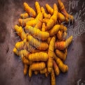 Fresh Turmeric Roots - Organic Spice for Culinary and Health Benefits