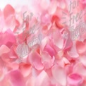 Soft Pink Rose Petals Background for Weddings and Romantic Themes