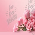 Elegant Pink Roses on Soft Gradient Background for Floral Design and Romantic Themes