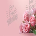 Elegant Pink Roses on Soft Pink Background - Perfect for Weddings, Celebrations, and Floral Designs