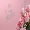 Elegant Pink Roses on Soft Pink Background - Perfect for Weddings, Romance, and Floral Designs