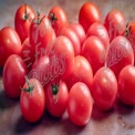 Fresh Organic Cherry Tomatoes with Water Droplets on Rustic Background