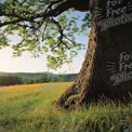 Majestic Oak Tree in Serene Landscape: Nature's Tranquility and Beauty