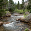 Tranquil Mountain Stream Flowing Through Lush Forest Landscape