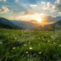 Stunning Sunset Over Mountain Landscape with Wildflowers in Bloom