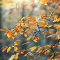 Golden Autumn Leaves in Soft Focus - Nature Background