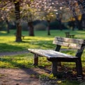 Tranquil Park Bench in Sunlit Green Space - Serene Outdoor Relaxation