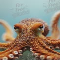 Vibrant Close-Up of an Octopus in Underwater Habitat