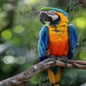 Vibrant Macaw Parrot on Branch with Lush Green Bokeh Background