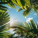 Tropical Paradise: Lush Green Palm Leaves Framing a Bright Blue Sky