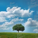 Solitary Tree on Green Hill Under Blue Sky with Fluffy Clouds