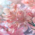 Delicate Pink Floral Bouquet with Soft Bokeh Background