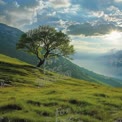 Paisagem Serena com Árvore Solitária ao Amanhecer: A Tranquilidade e Beleza da Natureza