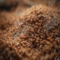 Close-Up of Organic Grain Pile - Natural Food Background for Agriculture and Nutrition