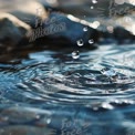 Serene Water Droplets Creating Ripples on a Calm Surface