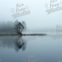 Serene Misty Lake Landscape with Reflections and Isolated Tree