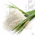 Fresh White Rice with Green Rice Stalks on a Clean Background