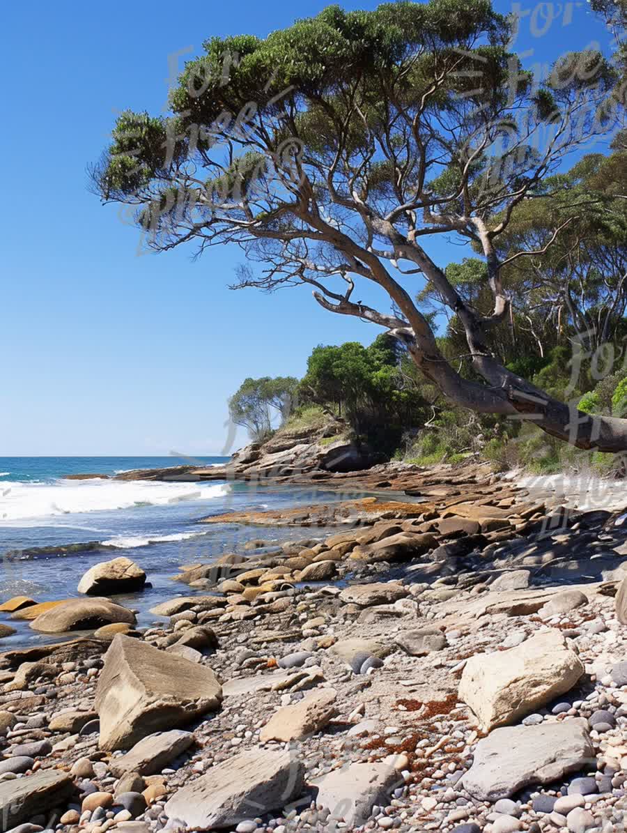 Serene Coastal Landscape with Rocky Shoreline and Lush Greenery