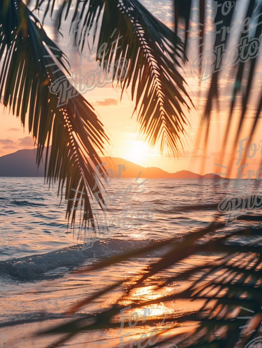 Serene Sunset Over Tropical Beach with Palm Fronds